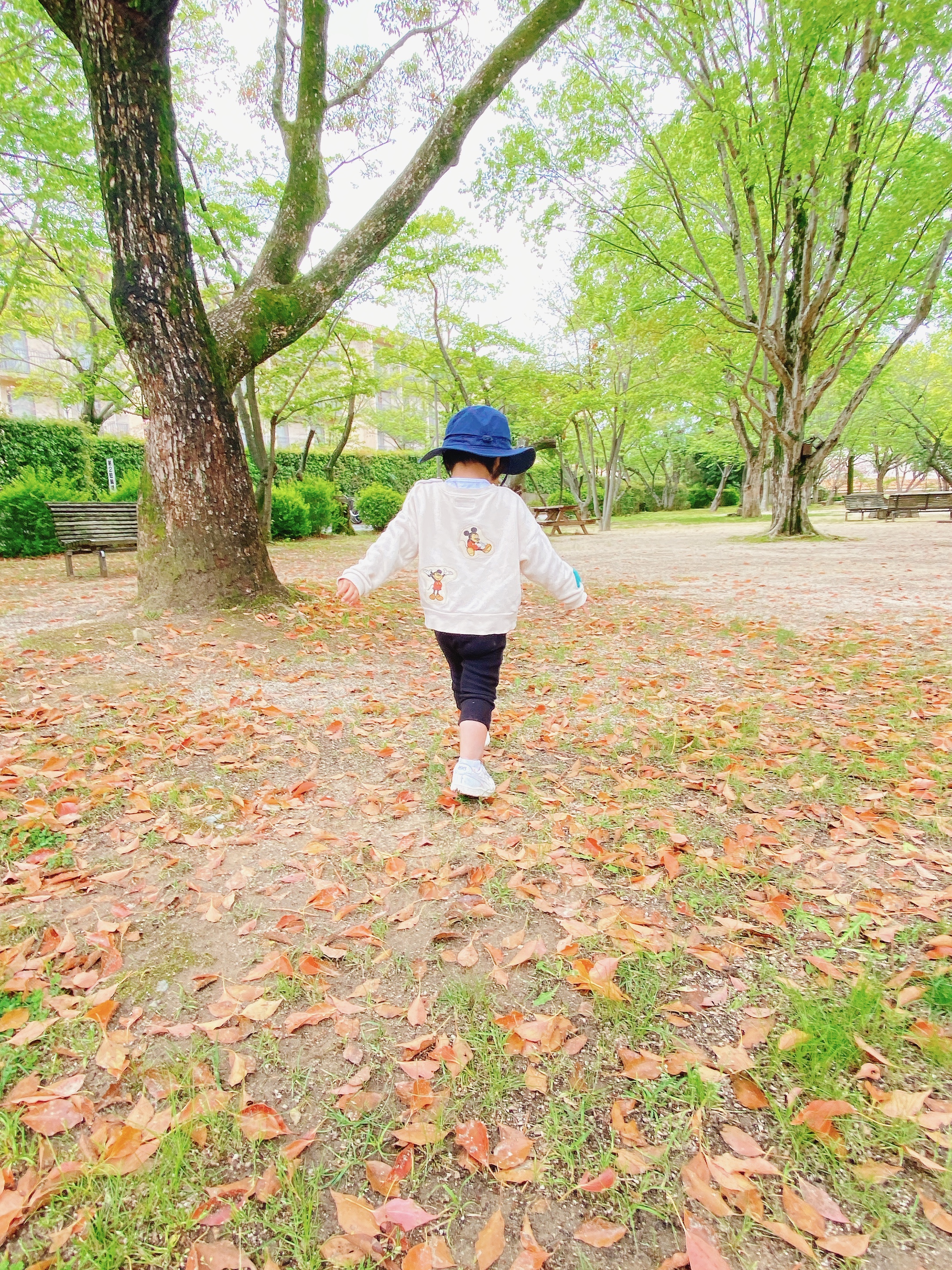 おさんぽの様子 1