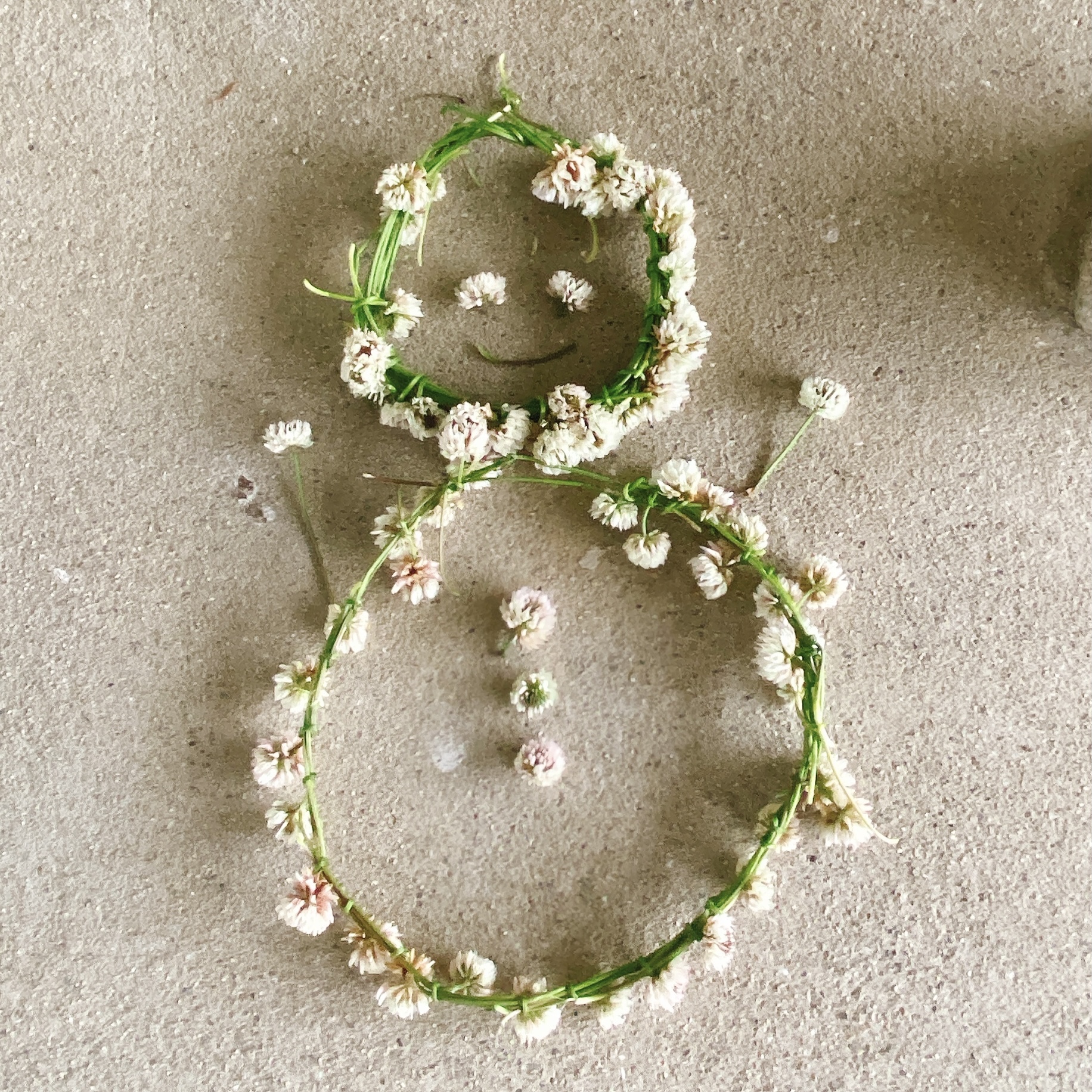 おさんぽの様子 2