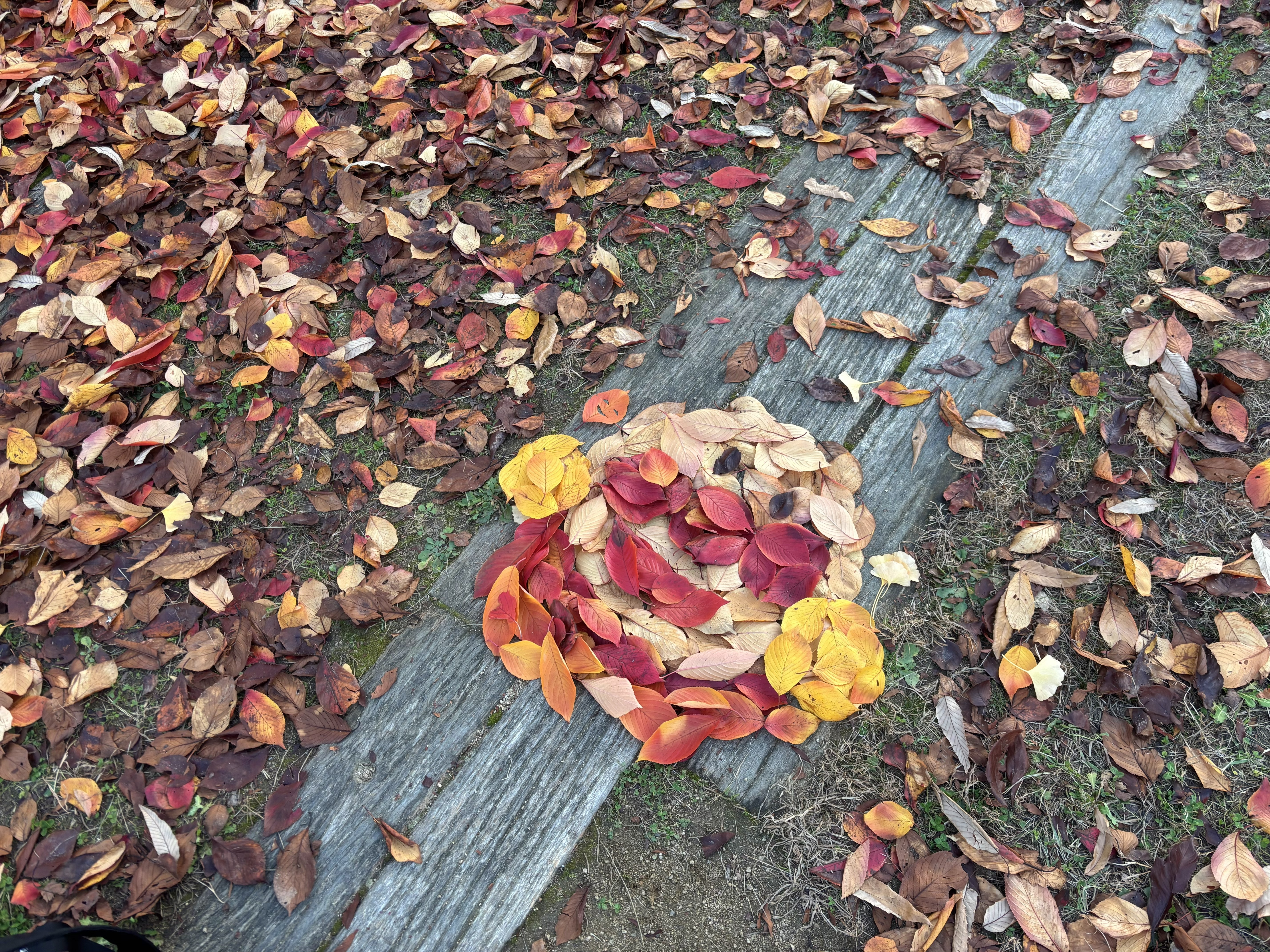 おさんぽの様子 3